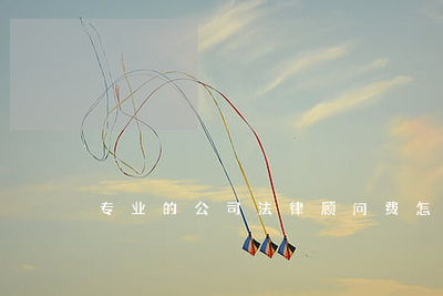 公司聘請專業(yè)法律顧問的費用計算與法律事務代理指南