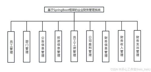 基于SpringBoot框架的企業(yè)財務(wù)管理系統(tǒng)設(shè)計與實現(xiàn)