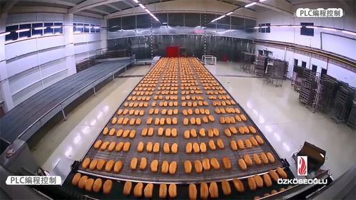 PLC編程控制 賦能食品生產線自動化，驅動企業管理升級